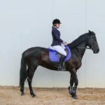 Ośrodek nad Bałtykiem: idealne miejsce na rodzinny wypoczynek